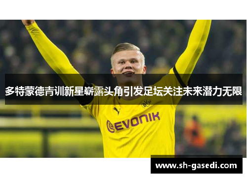 多特蒙德青训新星崭露头角引发足坛关注未来潜力无限