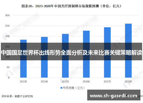中国国足世界杯出线形势全面分析及未来比赛关键策略解读