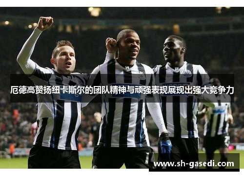 厄德高赞扬纽卡斯尔的团队精神与顽强表现展现出强大竞争力