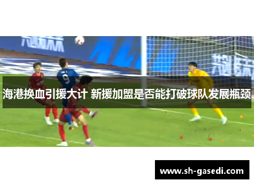 海港换血引援大计 新援加盟是否能打破球队发展瓶颈