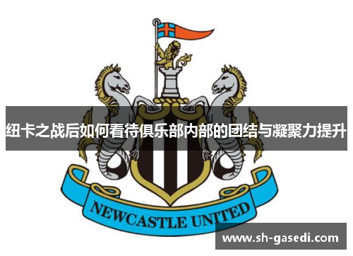 纽卡之战后如何看待俱乐部内部的团结与凝聚力提升