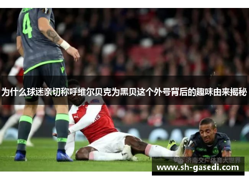 为什么球迷亲切称呼维尔贝克为黑贝这个外号背后的趣味由来揭秘 为什么球迷亲切称呼维尔贝克为黑贝这个外号背后的趣味由来揭秘