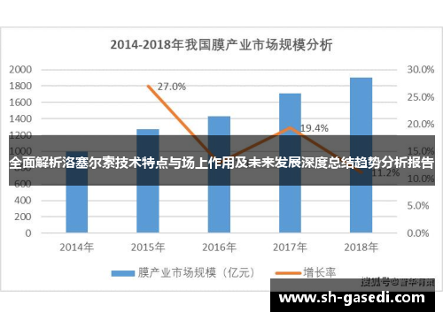 全面解析洛塞尔索技术特点与场上作用及未来发展深度总结趋势分析报告 全面解析洛塞尔索技术特点与场上作用及未来发展深度总结趋势分析报告