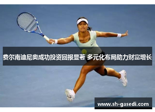 费尔南迪尼奥成功投资回报显著 多元化布局助力财富增长